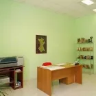 Immagine 2 azienda ONORANZE FUNEBRI SAN LORENZO Servizi professionali in Tarquinia VT