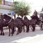 Immagine 2 azienda ONORANZE FUNEBRI ZUCCARETTI SAS Servizi professionali in Pulsano TA