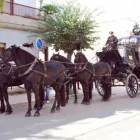 Immagine 3 azienda ONORANZE FUNEBRI ZUCCARETTI SAS Servizi professionali in Pulsano TA