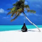 Immagine 3 azienda ONTARIO VIAGGI Viaggi e turismo in Malnate VA