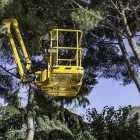 Immagine 2 azienda OPERA VERDE Servizi professionali in Carbonera TV