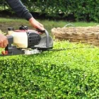 Immagine 3 azienda OPERA VERDE Servizi professionali in Carbonera TV