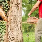 Immagine 4 azienda OPERA VERDE Servizi professionali in Carbonera TV