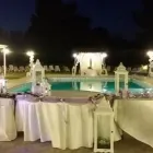 Immagine 1 azienda ORCHIDEA AGENZIA FUNEBRE FIORI E PIANTE Shopping e acquisti in Carlentini SR