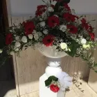 Immagine 3 azienda ORCHIDEA AGENZIA FUNEBRE FIORI E PIANTE Shopping e acquisti in Carlentini SR