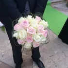 Immagine 8 azienda ORCHIDEA AGENZIA FUNEBRE FIORI E PIANTE Shopping e acquisti in Carlentini SR