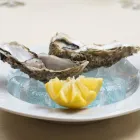 Immagine 4 azienda ORCHIDEA Ristorante in Varese