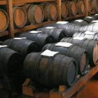 Immagine 2 azienda ORTALLI SPA Shopping e acquisti in Modena