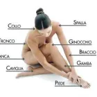 Immagine 1 azienda ORTHOPLUS Shopping e acquisti in Castellanza VA