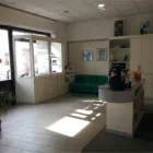 Immagine 3 azienda ORTHOPLUS Shopping e acquisti in Castellanza VA