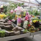 Immagine 1 azienda ORTOFLOR GARDEN Vivaio in Binago