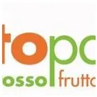 Immagine 1 azienda ORTOPAOLO Shopping e acquisti in Torino