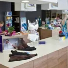 Immagine 1 azienda ORTOPEDIA CITTADELLESE Shopping e acquisti in Vicenza