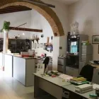 Immagine 3 azienda ORTOPEDIA VARESINA Shopping e acquisti in Varese