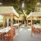 Immagine 2 azienda OSTERIA BRACERIA BELLAVISTA Ristorante in Arena Metato