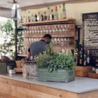 Immagine 5 azienda OSTERIA TERRAGLIO Tavola calda in Bassano Del Grappa VI