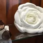 Immagine 4 azienda OTTICA CABREL Shopping e acquisti in Segusino TV
