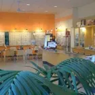 Immagine 1 azienda OTTICA CREMONA Shopping e acquisti in Gallarate VA