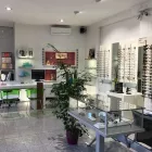 Immagine 3 azienda OTTICA RICCARDI DI ONTANI Shopping e acquisti in Cantù
