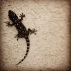 Immagine 3 azienda OTTICA SEVERI DAL 1924 Strumenti e attrezzature scientifiche in Rimini