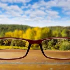 Immagine 2 azienda OTTICA ZAMPILLONI Shopping e acquisti in Albano Laziale RM