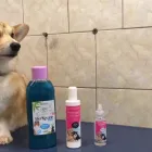 Immagine 2 azienda OVER LINE Servizi professionali in Roma