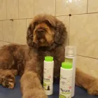 Immagine 3 azienda OVER LINE Servizi professionali in Roma