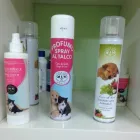 Immagine 4 azienda OVER LINE Servizi professionali in Roma