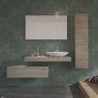 Immagine 8 azienda P.L.B. SERVICE Servizi professionali in Montichiari BS