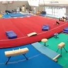 Immagine 4 azienda PALESTRA AS GIN - SSD GINNASTICA CIVITAVECCHIA Sport e tempo libero in Civitavecchia RM