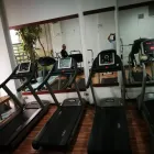 Immagine 3 azienda PALESTRA ASD BORGO CLUB Sport e tempo libero in Taranto