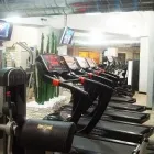 Immagine 2 azienda PALESTRA MARTY'S CLUB COLOSSEUM SOC.COOP.S.D. Sport e tempo libero in Ancona