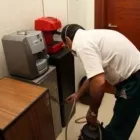 Immagine 2 azienda PAN.ECO. Servizi professionali in Modugno BA