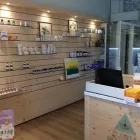 Immagine 2 azienda PARAFARMACIA ERBORISTERIA PLANTA OFFICINALIS Shopping e acquisti in Milano