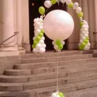 Immagine 11 azienda PARTYDEA DI SCUTELLA' ANTONELLA Shopping e acquisti in Torino