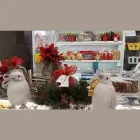 Immagine 1 azienda PASTICCERIA ZACCAGNINI Shopping e acquisti in San Giuliano Terme PI