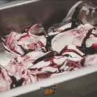Immagine 4 azienda PECCATI DI GOLA LAB. DI MANDOZZI JESSICA Gelateria in Villa Bona Fede
