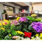 Immagine 4 azienda PEPPER Bar in Riccione RN