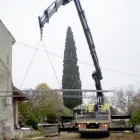 Immagine 5 azienda PERGHEM FRATELLI Noleggio di macchine elevatrici in Lonato Del Garda BS