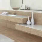 Immagine 7 azienda PERTUSINI Vendita di griglie in Como