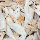 Immagine 3 azienda PESCHERIA VIRGILIO Shopping e acquisti in Milano