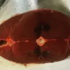 Immagine 8 azienda PESCHERIA VIRGILIO Shopping e acquisti in Milano