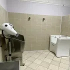 Immagine 5 azienda PET CHIC LOVE Shopping e acquisti in Giarre CT