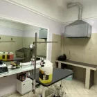 Immagine 7 azienda PET CHIC LOVE Shopping e acquisti in Giarre CT