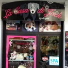 Immagine 4 azienda PET SHOP LA CASA DI JACK Servizi professionali in Salerno