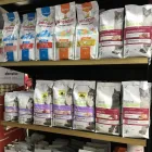 Immagine 5 azienda PET SHOP LA CASA DI JACK Servizi professionali in Salerno