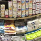 Immagine 8 azienda PET SHOP LA CASA DI JACK Servizi professionali in Salerno