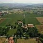 Immagine 1 azienda PEZZUOLI AZIENDA AGRICOLA Vineria in Maranello MO