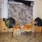 Immagine 2 azienda PHOTO MASTER STUDIO FOTOGRAFICO Shopping e acquisti in Torino