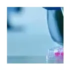 Immagine 3 azienda PHTRE Servizi professionali in Vicenza